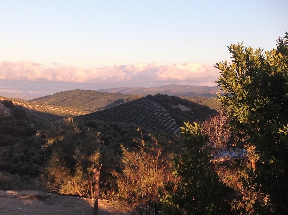 Lojilla Cortijo Berruguillaヴィラ エクステリア 写真