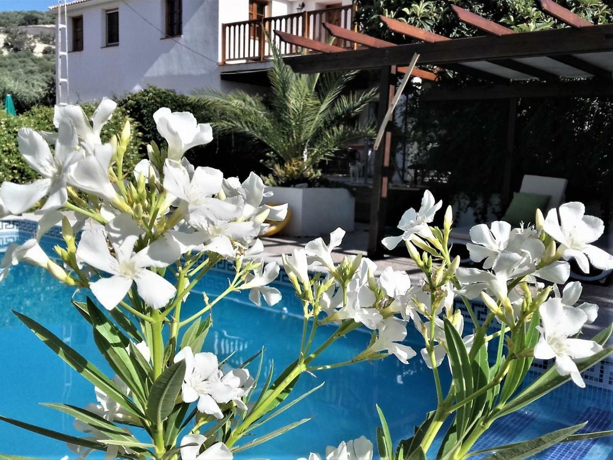 Lojilla Cortijo Berruguillaヴィラ エクステリア 写真